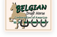 Belgian Draft Horse Corporation