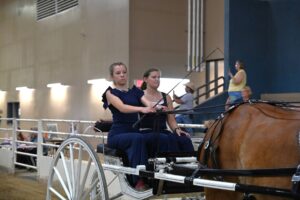 Youth Cart at Iowa Draft Horse Classic